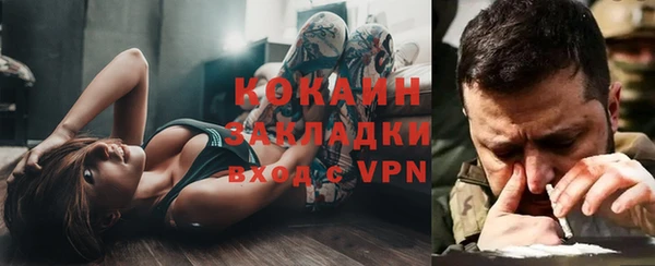 шишки Новокубанск