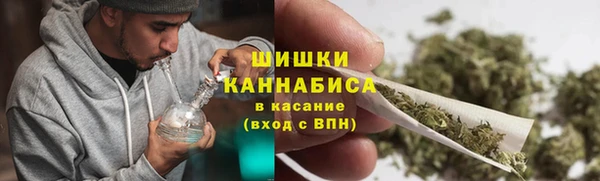 шишки Новокубанск
