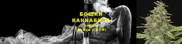 сатива Нефтегорск