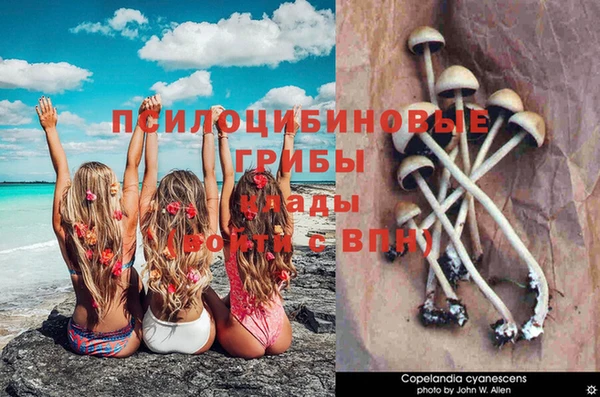 сатива Нефтегорск