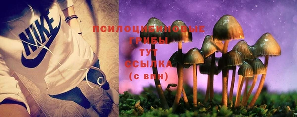 МДМА Новозыбков