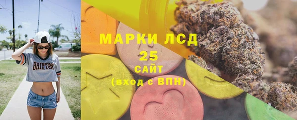 шишки Новокубанск