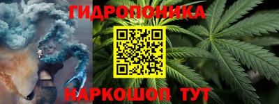 хмурый Дубна