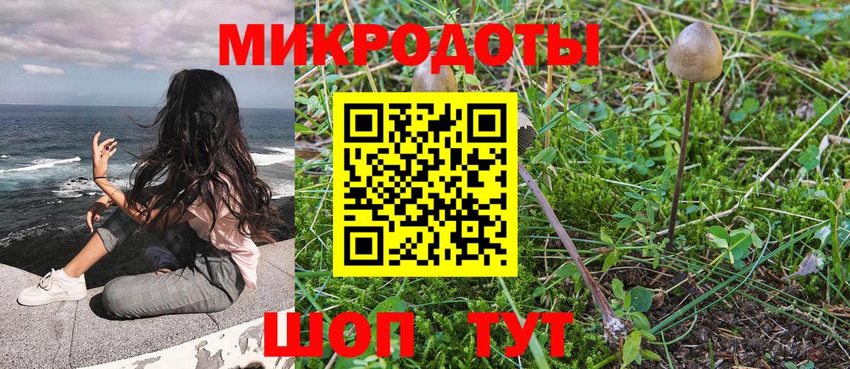 Псилоцибиновые грибы Psilocybe Корсаков